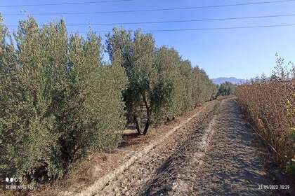 Terres agricoles vendre en Hijar, Gabias (Las), Granada. 