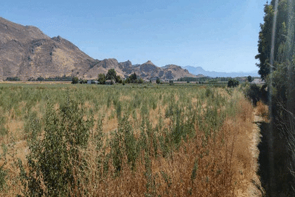 Rural/Agricultural land for sale in Pinos Puente, Granada. 